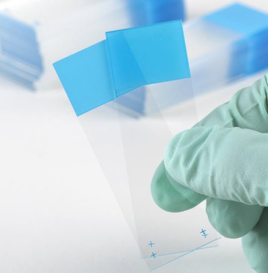 Positive Charged Microscope Slide, 1440/CS