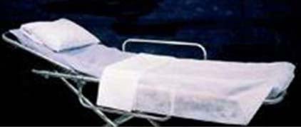 Stretcher Sheet Fit 30X72 Blue(50/Cs), 50/Cs