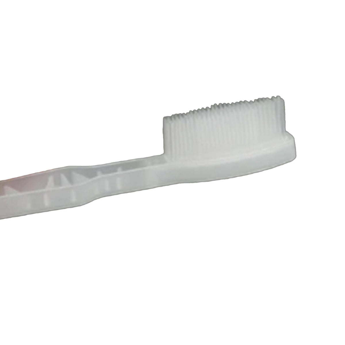 Toothbrush, No-Shank Gen Population (1000/Cs) D/S, 1000/Cs