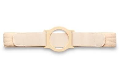 Belt, Support 3 3/4 Lg Bge, 1/Ea