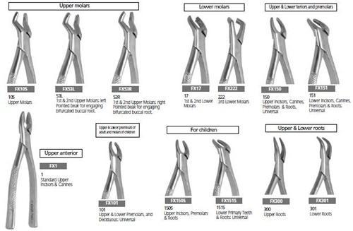 Dental Extraction Forcep Set