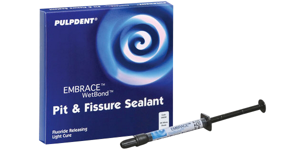 Embrace P&F Sealant Off-White - BriteSources