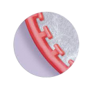 TLOC Triple Tray Anterior 28/bx. - Premier - BriteSources