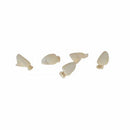 Polycarbonate Crowns