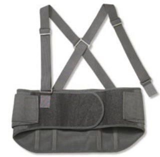 ProFlex® Standard Back Support, Large, 1/EA
