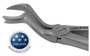 Dental Extraction Forcep X67RX Upper 8-8 - Osung USA