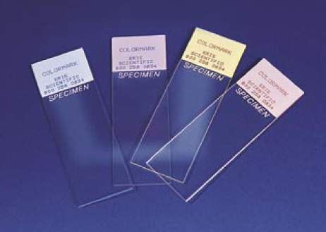 Colormark® Plus Microscope Slide, 10/Cs