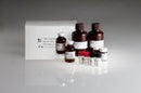 CALIBRATOR, 1 X 3.0ML, 1/PK, SOLD AS PACK CLINICAL 10000461