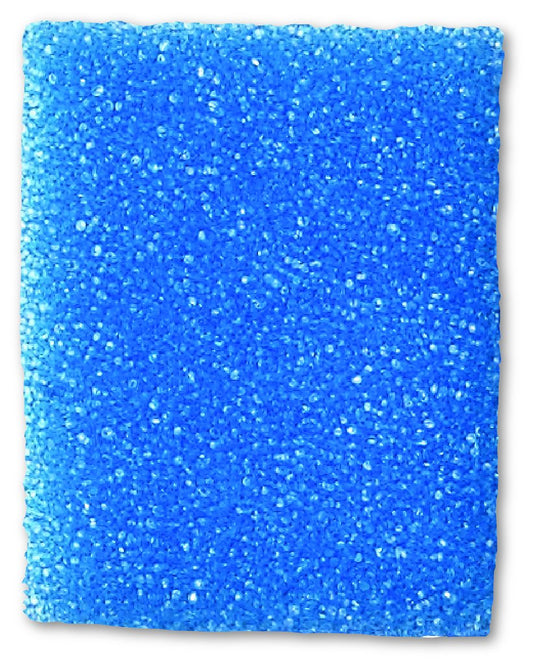 SPONGE, BIOPSY FOAM BLU (1000/CS), 1000/CS