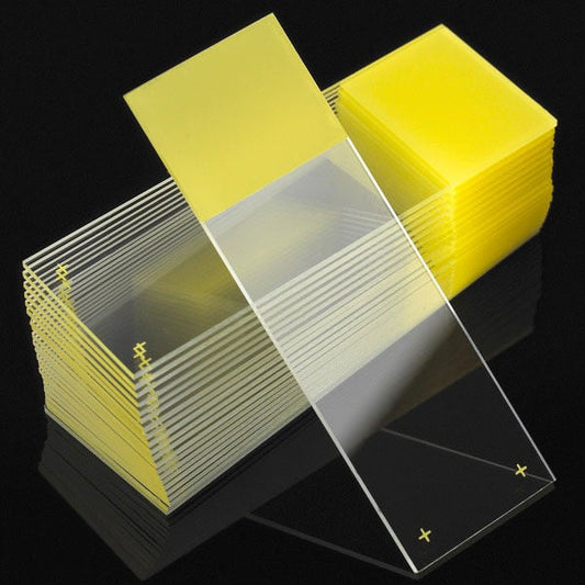 Diamond® White Glass Charged Positive Charged Microscope Slide, Yellow End, 1440/Cs