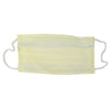 Secure-Gard® Procedure Mask, 500/CS