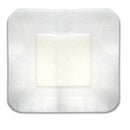 Alldress® Composite Dressing, 6 x 6 Inch, 10/BX