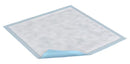 Essity Hms Tena Underpad Underpad Reg 23X24 Blu 25/Pk8Pk/Cs -351 - BriteSources