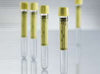Vacuette® Urinalysis Tube, 9 mL, 16 x 100 mm, 50/BX
