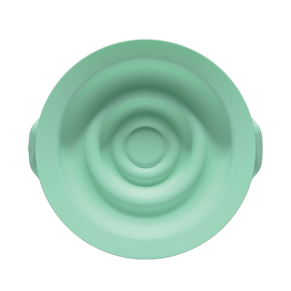 Seals, Pump Access Elvie (2/Pk6Pk/Cs), 6/Cs