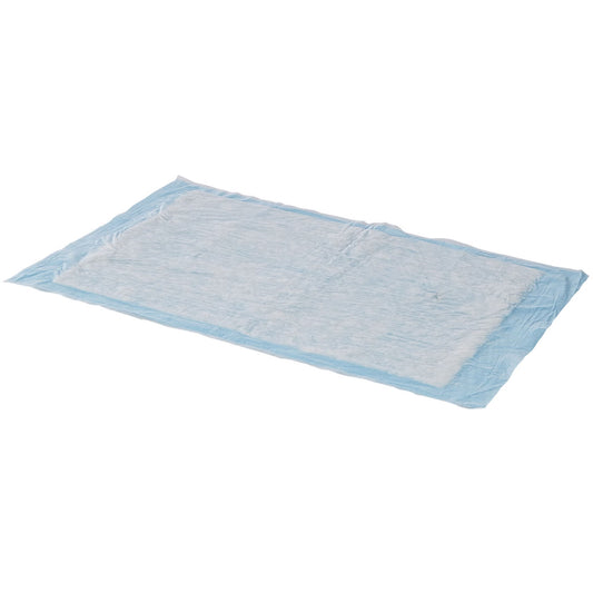Simplicity Basic Underpad, Disposable, Light Absorbency, 23 x 24 Inch, 200/CS