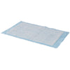 Simplicity Basic Underpad, Disposable, Light Absorbency, 23 x 24 Inch, 200/CS