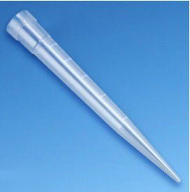 Globe Scientific Filter Pipette Tip, 1,000 To 5,000 Μl, 100/Bg