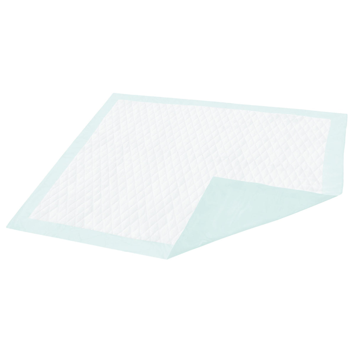 Dignity® Light Absorbency Underpad, 23 x 26 Inch, 150/CS