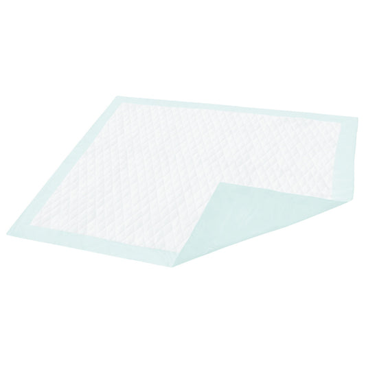 Dignity® Light Absorbency Underpad, 23 x 26 Inch, 150/CS