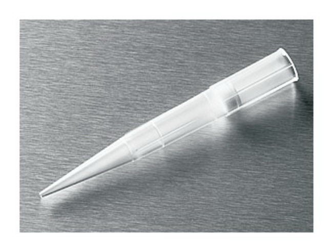 Pipet Filt Isotip 100-1000Ul1000/Cs Filtered Poly Racked, 1000/Cs