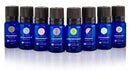 Earthlite Holistic Alchemy Essential Oil Single Notes Collection Oil Blend Organic Sleep 10Ml -56301 - BriteSources