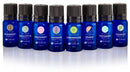 Earthlite Holistic Alchemy Essential Oil Single Notes Collection Oil Blend Organic Purify 10Ml -56900 - BriteSources