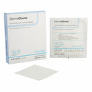 DERMAGINATE® ALGINATE DRESSING, 4-1/4 X 4-1/4 INCH, SOLD AS 10/BOX DERMARITE 00270E