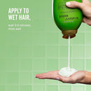 J&J Ogx Hair Care Shampoo Teatree Mint385Ml 13Oz 1/Pk 4/Cs -95014 - BriteSources