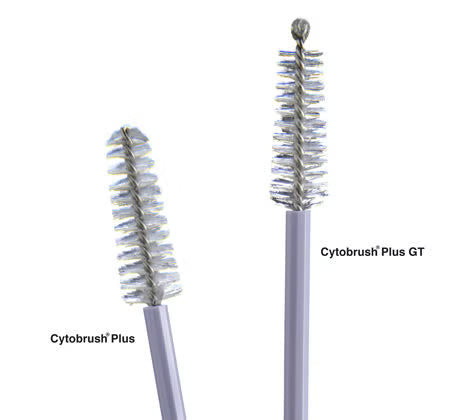 Medscand® Cytobrush Plus® GT Cytology Brush, 196 mm Length, 2500/BX