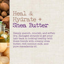 J&J Maui Moisture Hair Care Shampoo Maui Shea Butter Heal13Oz 1/Pk 4Pk/Cs -18011 - BriteSources
