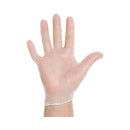 Halyard™ Vinyl Exam Glove, Large, Clear, 1000/CS