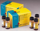 Accu-Sed™ Plus Control Kit, 1/BX
