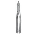 Extracting Forceps Universal