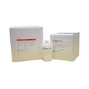 ENZYMATIC CLEANER, 960ML, SOLD AS EACH CLINICAL 10000461