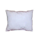 PILLOW, 18" X 24", STAPHCHECK , 16 OZ FILL, 12/CS, SOLD AS CASE LEW 10000063