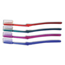 Jm Murray Oraline Coral Value Toothbrush Toothbrush Coral Master38 Valuadt Ast Colors 144/Cs -10250 - BriteSources