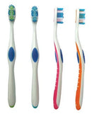 Jm Murray Oraline Economy Toothbrush Toothbrush Adult Econo Rainbow8 Color 144/Cs Imp Oly -10925P - BriteSources