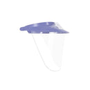 1 BLUE VISOR, 3 SHIELDS, 1 LIGHT CURE FILTER, I MINI DHIELD FOR VENTILATION WINDOW, SOLD AS BOX PACDENT 10001197