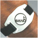 KNEED-IT XM KNEE STRAP WITH MAGNET, STYLE 86 PRODUCTS CANNOT BE SOLD ON AMAZON.COM, THROUGH FULFILLMENT ON AMAZON.COM, OR TO ANY O, SOLD AS EACH PRO 1