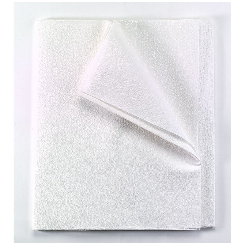 TIDI ALL TISSUE PATIENT DRAPE SHEET DRAPE ENCORE 2PLY-T WHT 40X48100/CS