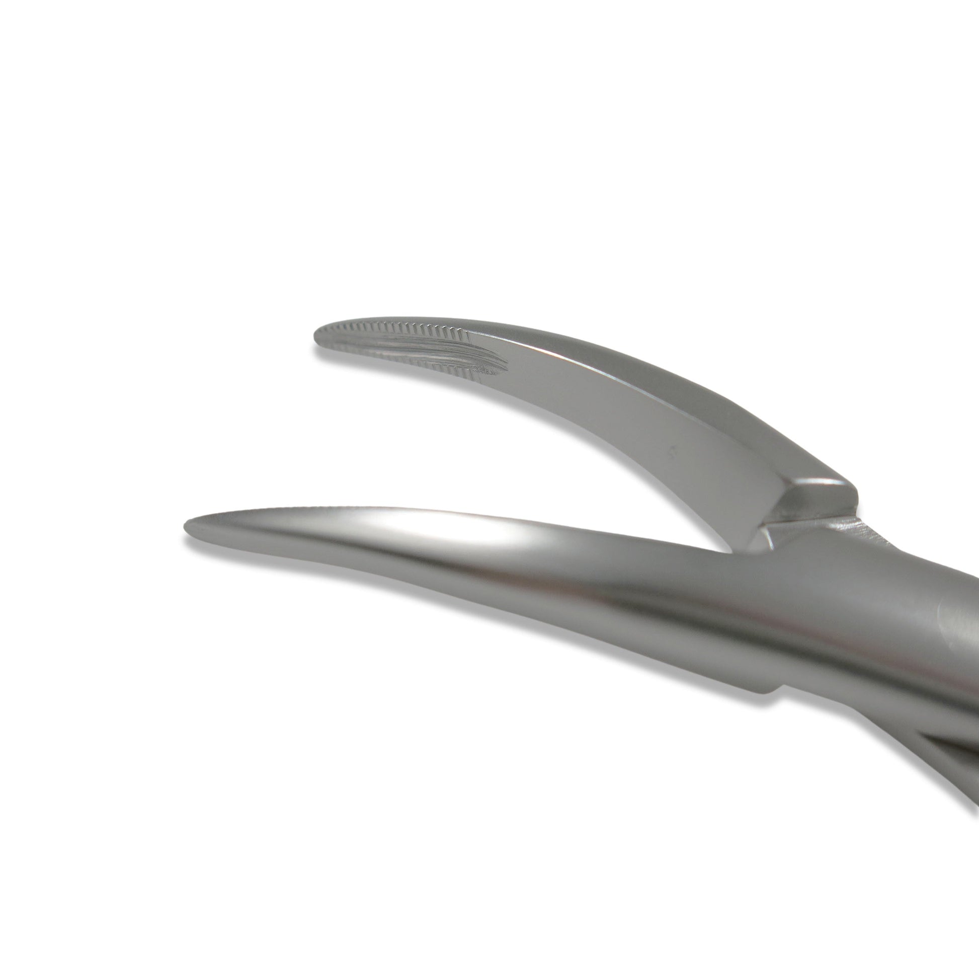 Osung #300 Upper Roots Dental Extraction Forceps Premium -FX300 - Osung USA