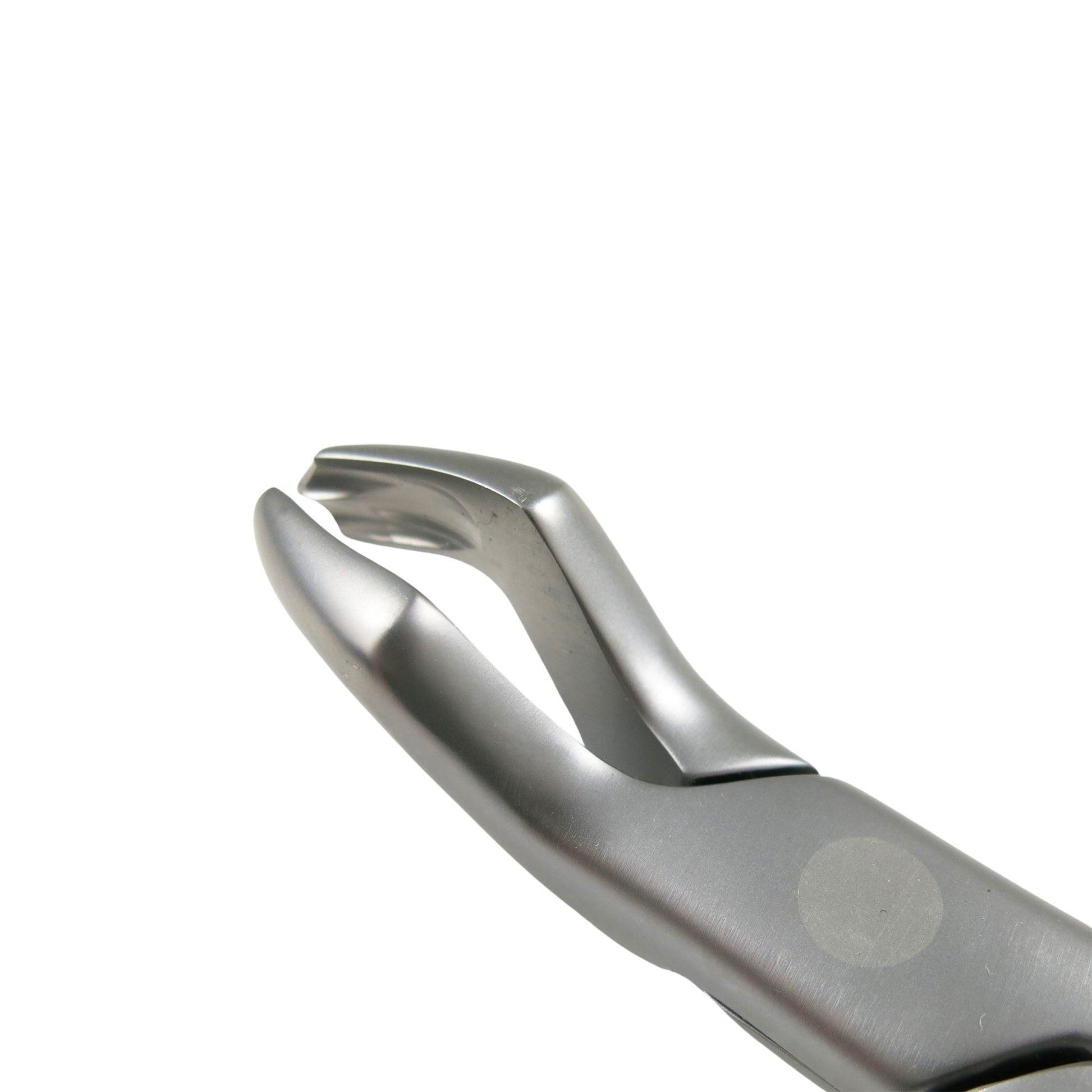 Dental Extraction Forcep UPPER MOLARS, FX53R - Osung USA