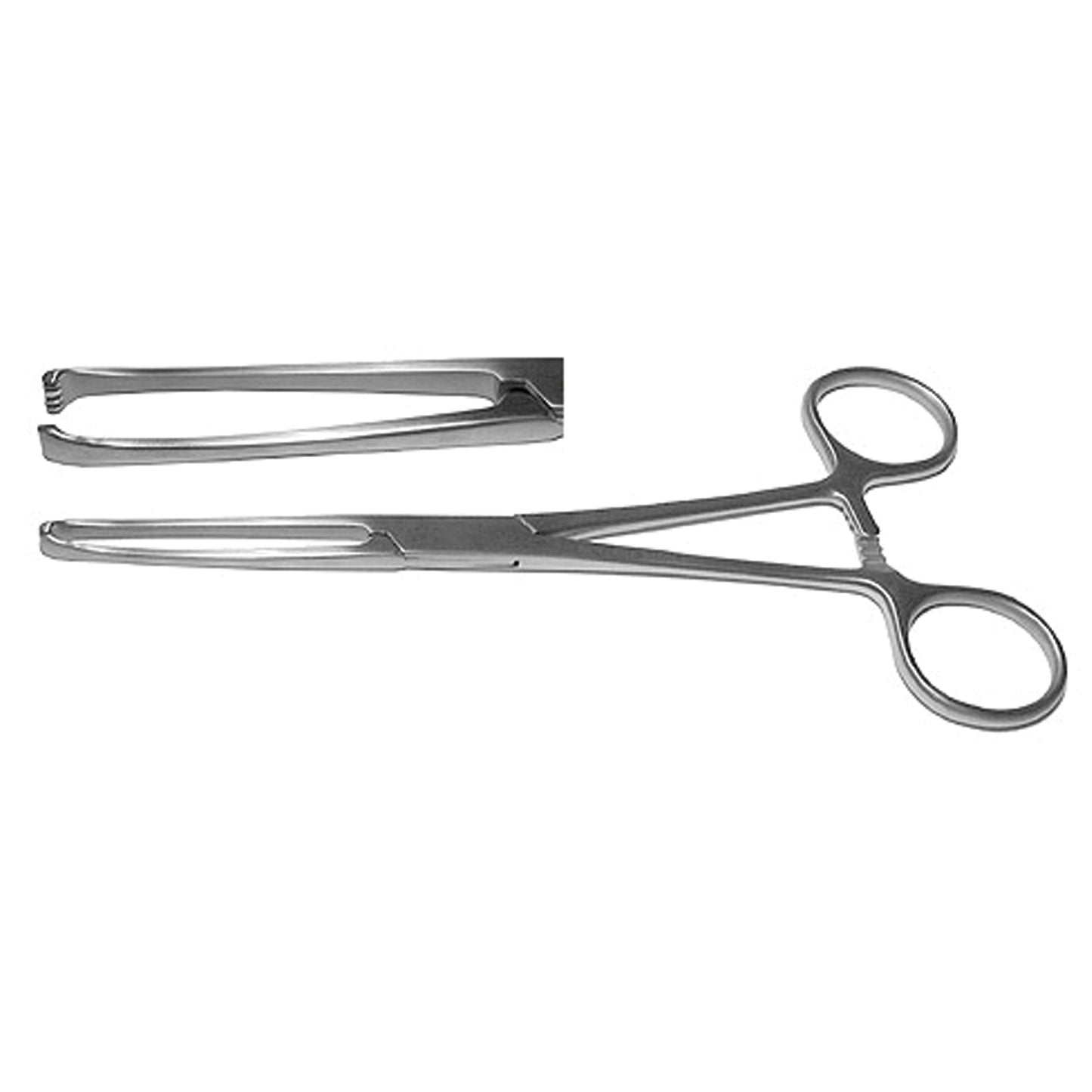 Pmd Or Grade Allis Tissue Forceps Tissue Forceps, Standard Pattern, 5X6 Teeth, 6" (15.2 Cm)