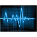 Vectracor Q200 Holter Recorder Accessories: Holter Lx Analysis Software - Pro, ACCESSORY / PART ONLY -701012-00 - BriteSources