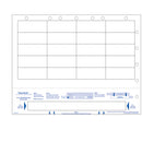 ADULT WRISTBAND & 20 LABELS/ FILE HOLES, 8½ X 11, 250/PKG, 4 PKG/BX, SOLD AS BOX PRECISION 10001102
