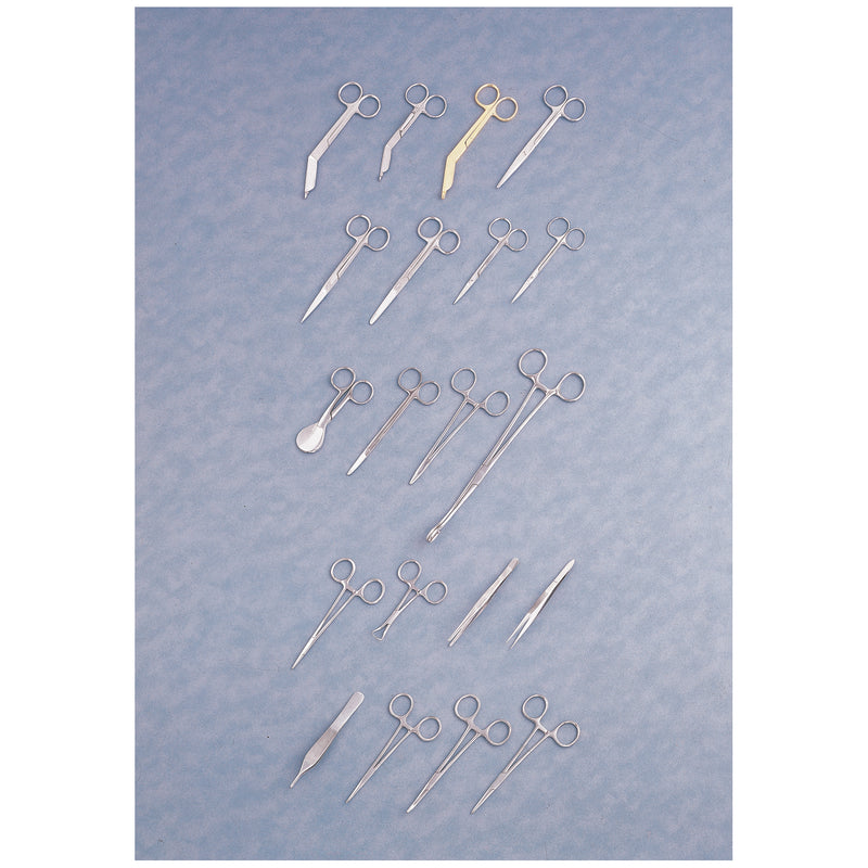 LISTERETTE SCISSORS, 5½", PURPLE, SOLD AS EACH AMERICAN 10