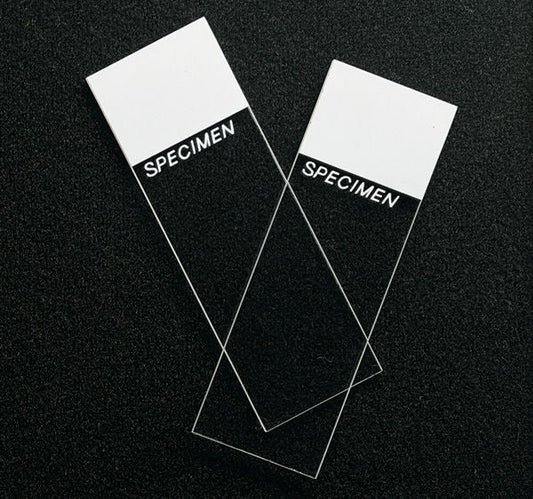 Sp® Superfrost® Microscope Slide, 144/Gr