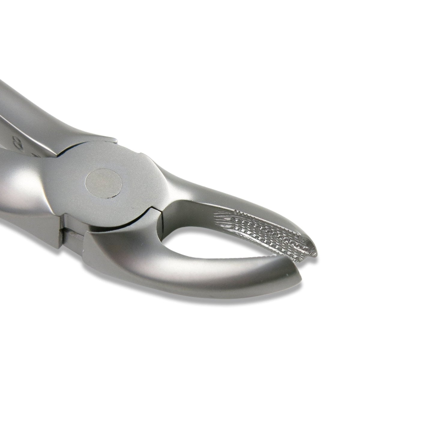 Adult Extraction Forcep, FXX17 - Osung USA