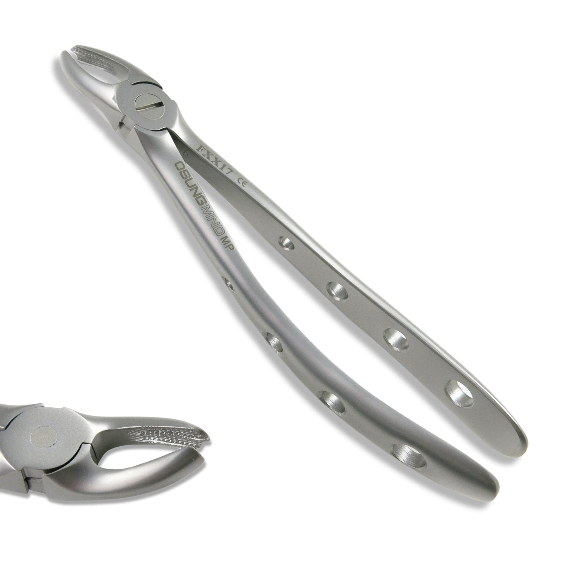 Adult Extraction Forcep, FXX17 - Osung USA